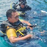 AKE Foundation dan Ngori Dive Club Gelar Penanaman Karang di Pulau Maitara