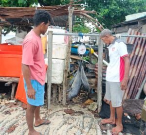 Menguatkan Perikanan Desa Laigoma melalui Pendataan Ikan
