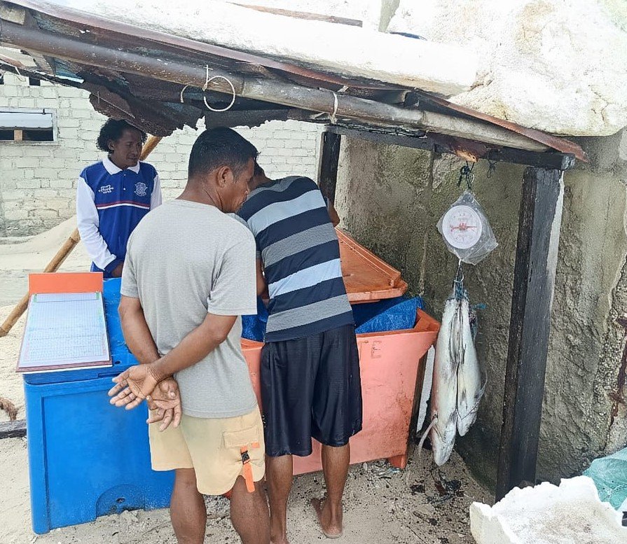 Menguatkan Perikanan Desa Laigoma melalui Pendataan Ikan